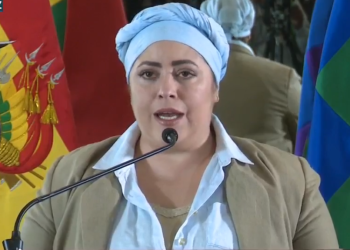 Luego de declaraciones de Milei, Gobierno convoca al embajador de Argentina en Bolivia