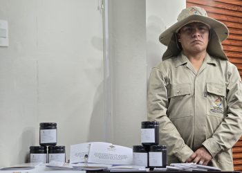¿Qué son las ovitrampas? En cinco municipios ya se combate así al dengue