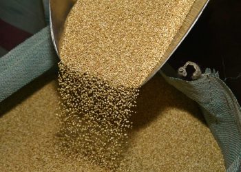 La empresa estatal EBA exportará 1.000 toneladas de quinua al mercado chino