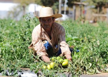 La economía de México crece 0,8% en el primer trimestre