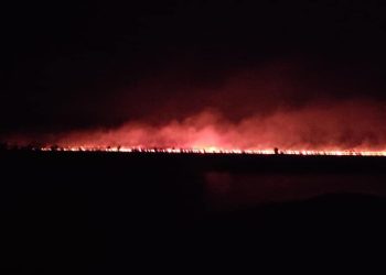 El Gobierno reporta ‘disminución considerable’ del incendio en Otuquis