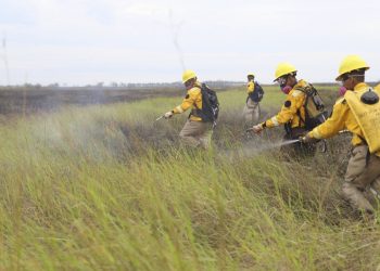 Gobernador de Santa Cruz: El fuego fue controlado en el Parque Nacional Otuquis