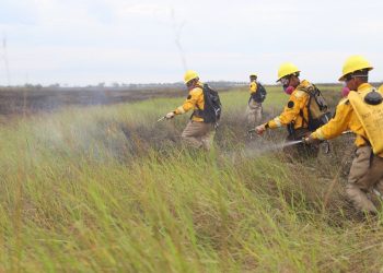 Desarrollo Forestal reporta una disminución de los focos de calor en el parque Otuquis