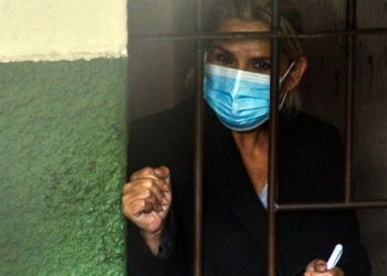 Legislativo interpela al ministro Lima por detención de la expresidenta Jeanine Áñez