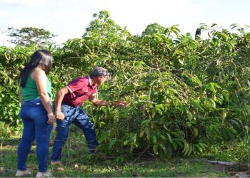 El BDP apoya proyectos verdes.