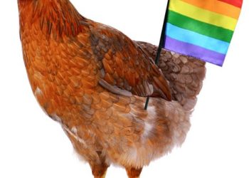 ¿Pollo frito progresista? En EEUU las marcas están en medio de ‘guerras culturales’