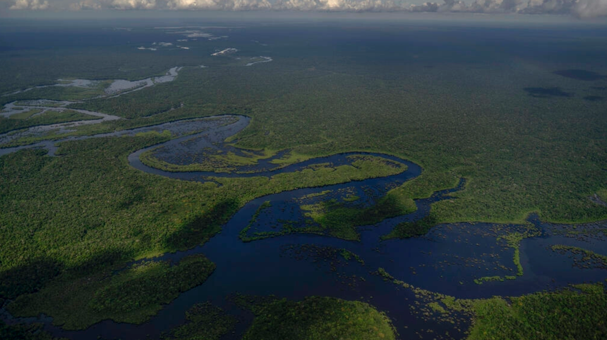 Lula redujo la deforestación en la Amazonía