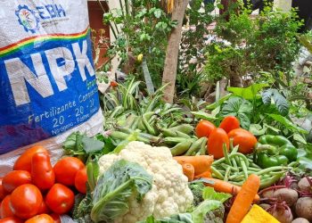 fertilizantes