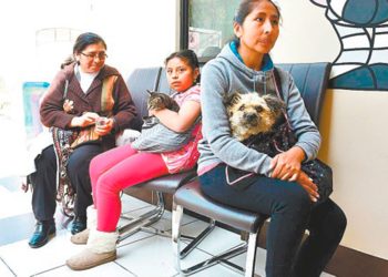 Las esterilizaciones se realizarán en la Casa de la Mascota, en La Paz.