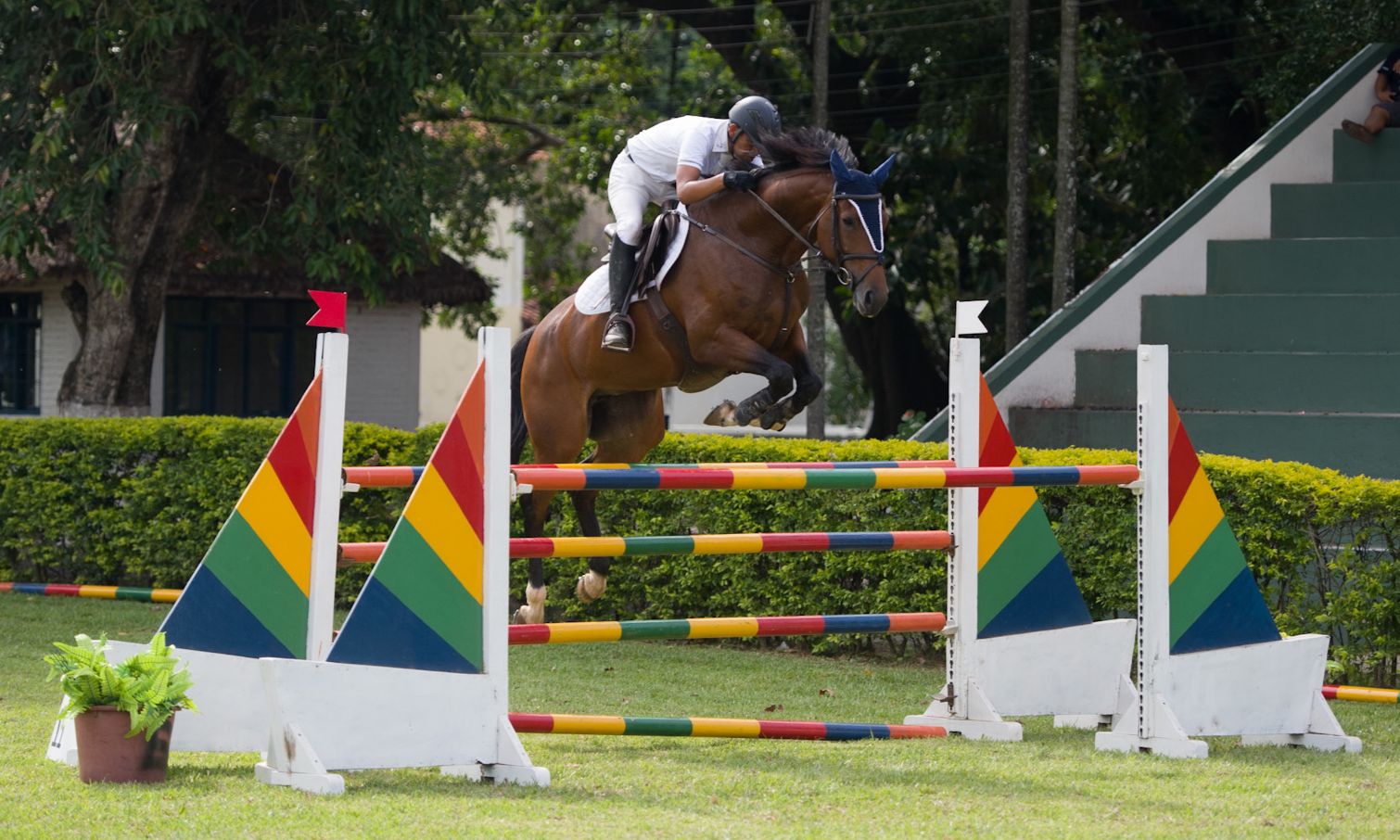 Binomio cruceño de Zalles y Cyrana se impone en Mayores A de la Copa FEI