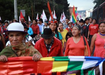 La Confederación de Nacionalidades Indígenas de Ecuador (Conaie)