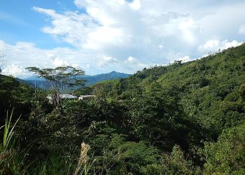 embarcaciones Amazonia de Perú