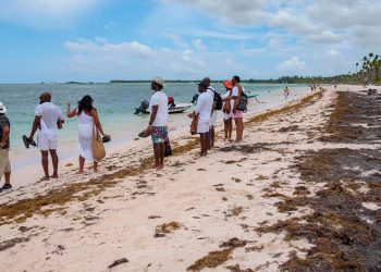 Sargazo, problema sin solución a la vista para la turística República Dominicana