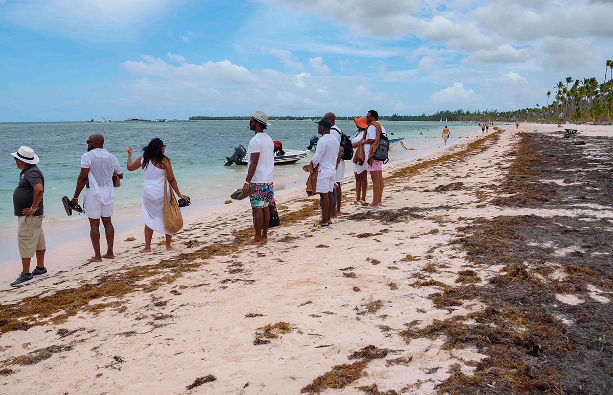 Sargazo, problema sin solución a la vista para la turística República Dominicana