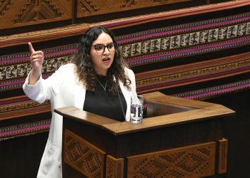 Ministra de Salud defiende estrategias de lucha contra el cáncer y recibe el apoyo de la ALP