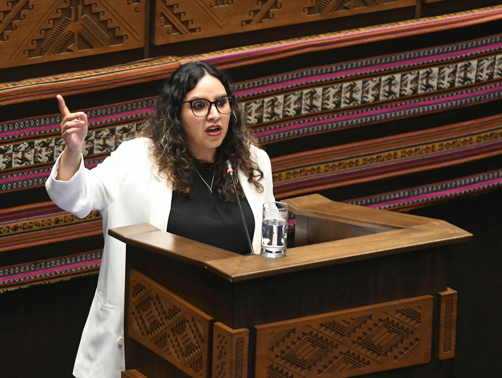 Ministra de Salud defiende estrategias de lucha contra el cáncer y recibe el apoyo de la ALP