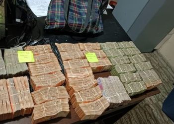 Dos personas fueron aprehendidas por sacar del país $us 339.000 en moneda argentina