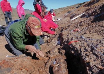 Identifican a ‘Gonkoken nanoi’, dinosaurio con pico de pato que habitó la Patagonia chilena