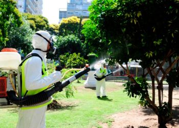 dengue_en_argentina.jpg