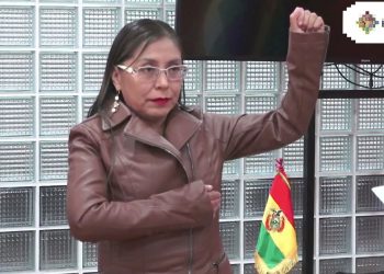 viviana_mamani.jpg
