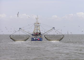 Imagen referencial del barco pesquero de Ecuador que rescató a los daneses