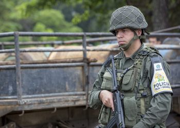 Liberados una treintena de soldados que habían sido secuestrados por mineros ilegales en Colombia