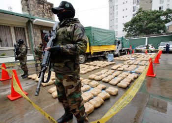 En dos años y medio de gestión, la FELCN secuestró 585,41 toneladas de droga y hay 8.069 aprehendidos