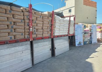 Plan del Sur evita en Villazón ingreso de 92 toneladas de contrabando valuado en Bs 1,2 millones