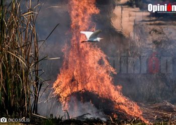 incendio