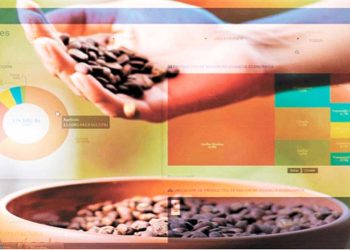 El portal presenta los datos más relevantes de los sectores agrícola, pecuario, industrial, manufacturero, forestal y turístico.