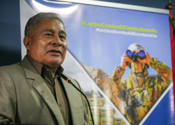 En reunión virtual, Bolivia y Perú intercambian información para la lucha contra el contrabando