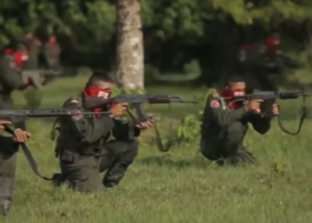 ELN de Colombia hijos