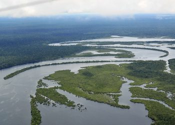 Cae la deforestación en la Amazonía brasileña