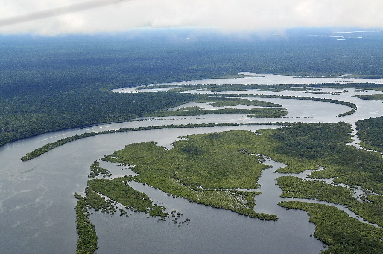 Cae la deforestación en la Amazonía brasileña