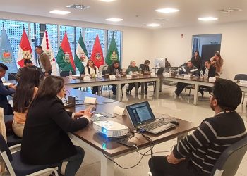 Comisión legislativa decide esperar fallo del TCP para avanzar en las judiciales