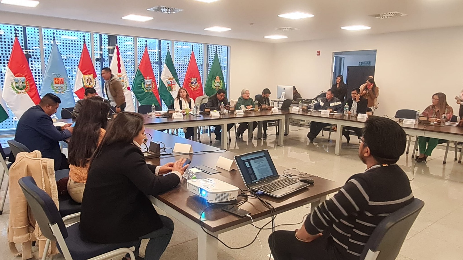 Comisión legislativa decide esperar fallo del TCP para avanzar en las judiciales