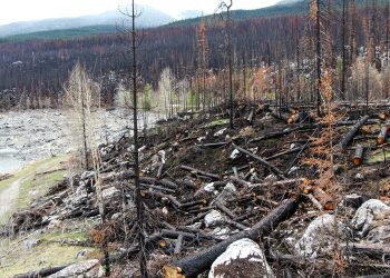 Incendios ‘fuera de serie’ azotan Canadá mientras aumentan las temperaturas