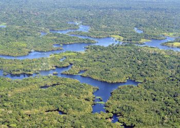 Mineros ilegales operaban en la amazonia de Venezuela