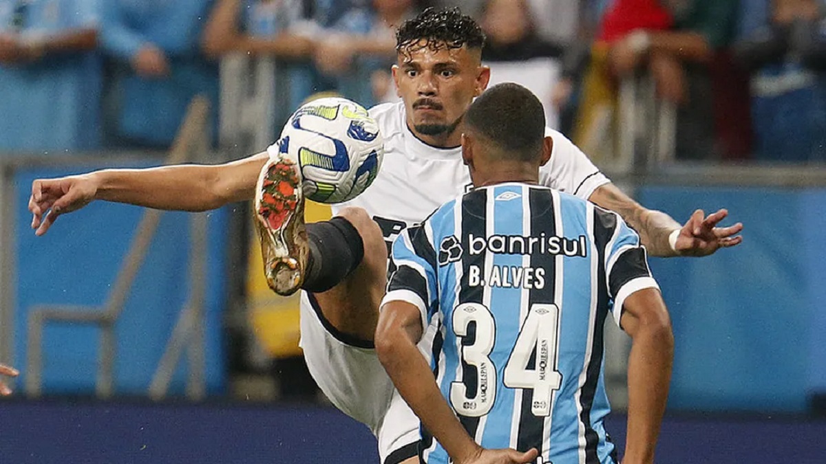 Botafogo se escapa en la punta del Brasileirao al vencer al Gremio de Suárez