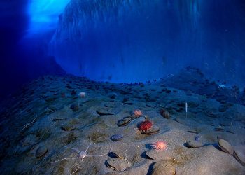 Imagen referencial de minería submarina en Jamaica