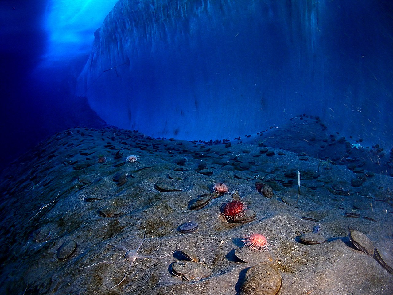 Imagen referencial de minería submarina en Jamaica