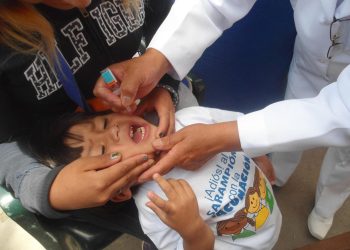 Oruro y Chuquisaca llegan al 100% de vacunación contra la polio y el sarampión