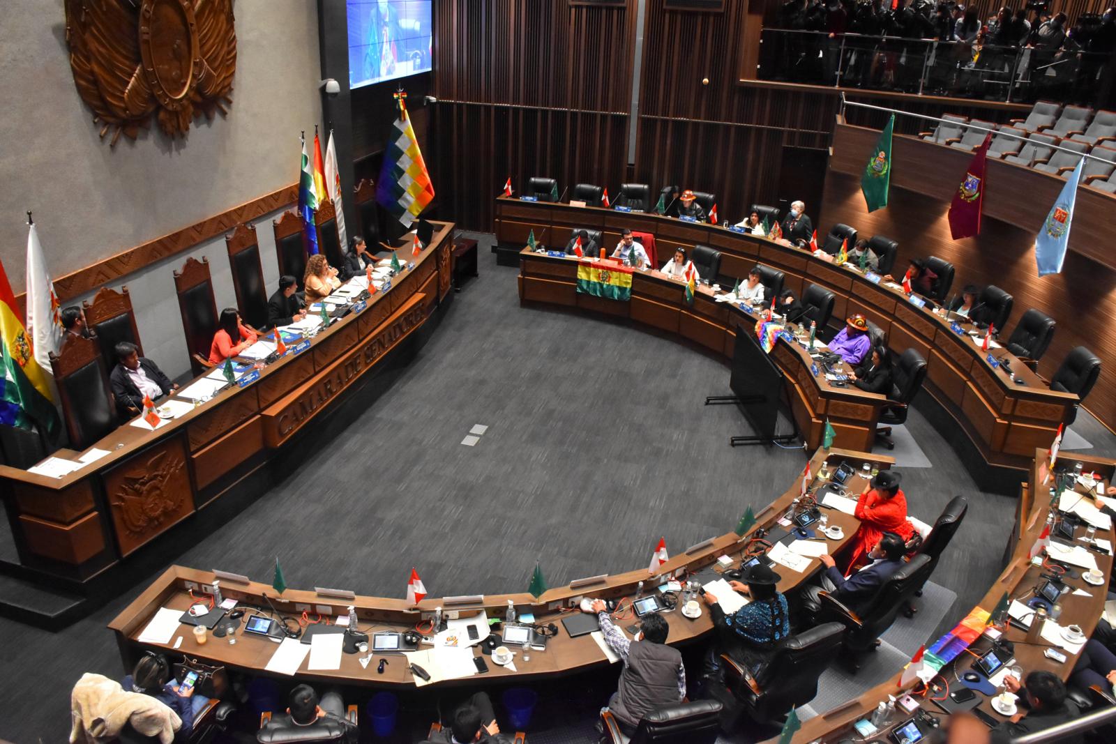 El Senado conforma comisión para investigar casos de pederastia en la Iglesia católica