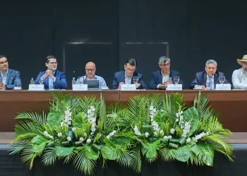 empresarios