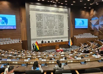 Maldonado: Hoy sale el directorio de Diputados; no vamos a declarar más cuartos intermedios