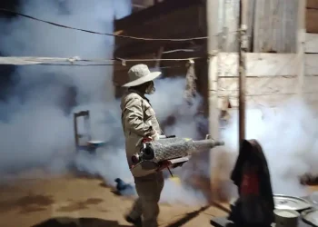 Salud reporta descenso de casos de malaria y destaca acciones