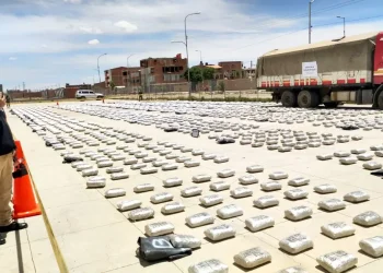 Cocaína y marihuana incautada recientemente/FELCN