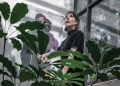 jeannette_arevalo.jpg