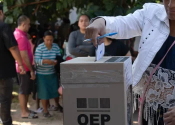 La increíble historia de las elecciones 2025 en un libro