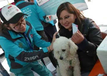 La Paz se prepara para la campaña de vacunación contra la rabia